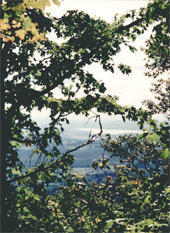 View from the trails