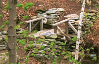 Pont sur le ruisseau